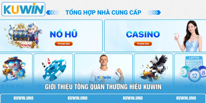 Giới thiệu tổng quan thương hiệu KUWIN 